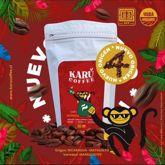 Nicaragua - Matagalpa / Lavado