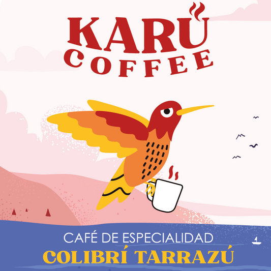 Costa Rica - Colibrí Tarrazu / Lavado